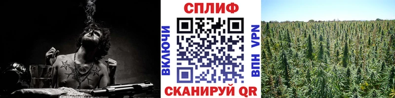 Купить наркотик Кизляр Канабис  Меф мяу мяу  А ПВП  ГАШ  hydra ССЫЛКА  КОКАИН 