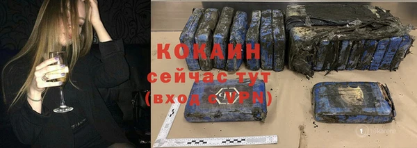 ПСИЛОЦИБИНОВЫЕ ГРИБЫ Новозыбков