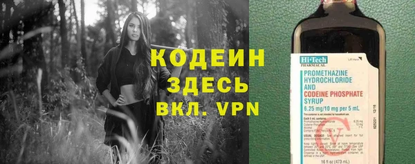 сатива Нязепетровск
