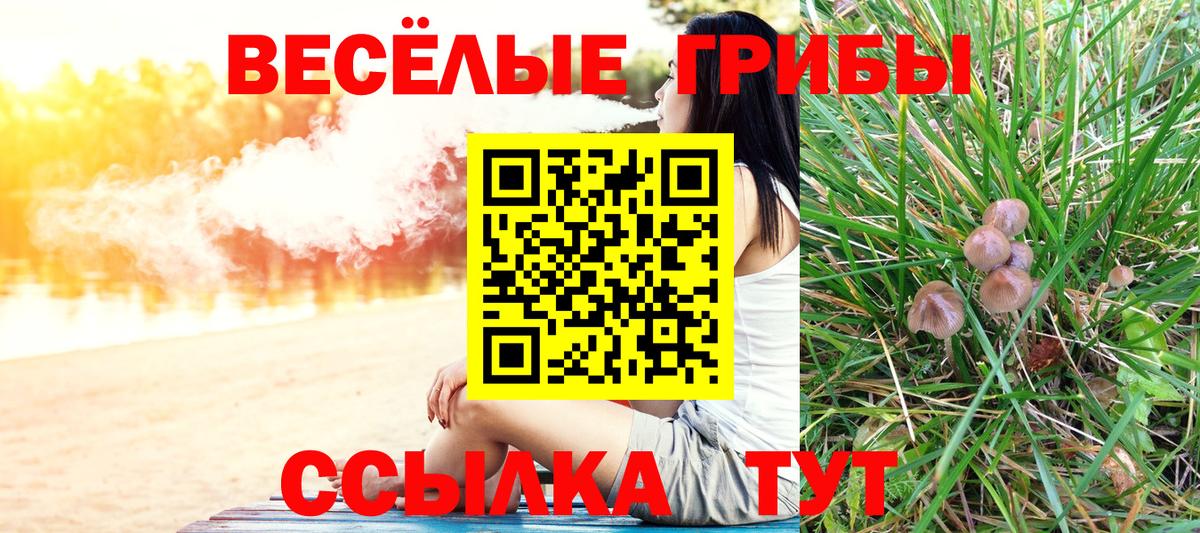 Псилоцибиновые грибы GOLDEN TEACHER Кизляр
